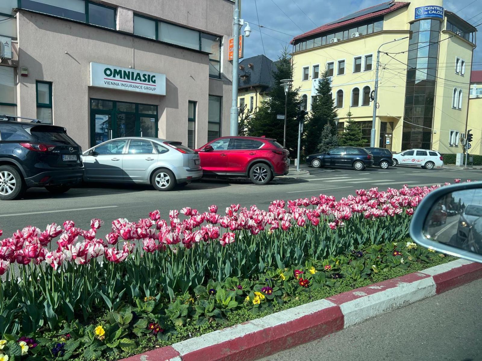 Central-Home Тыргу-Жиу Экстерьер фото
